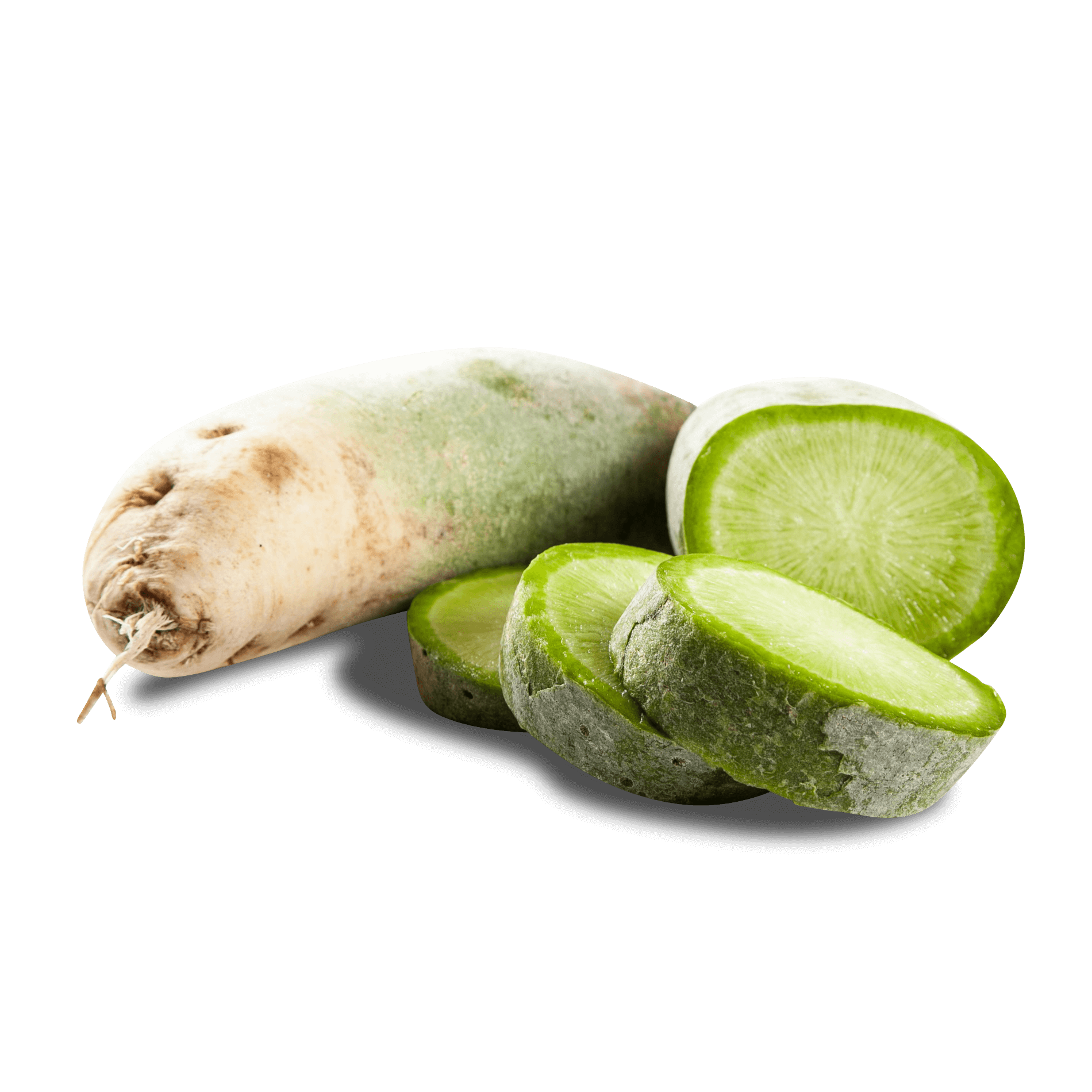 Rettich 'Green Meat'