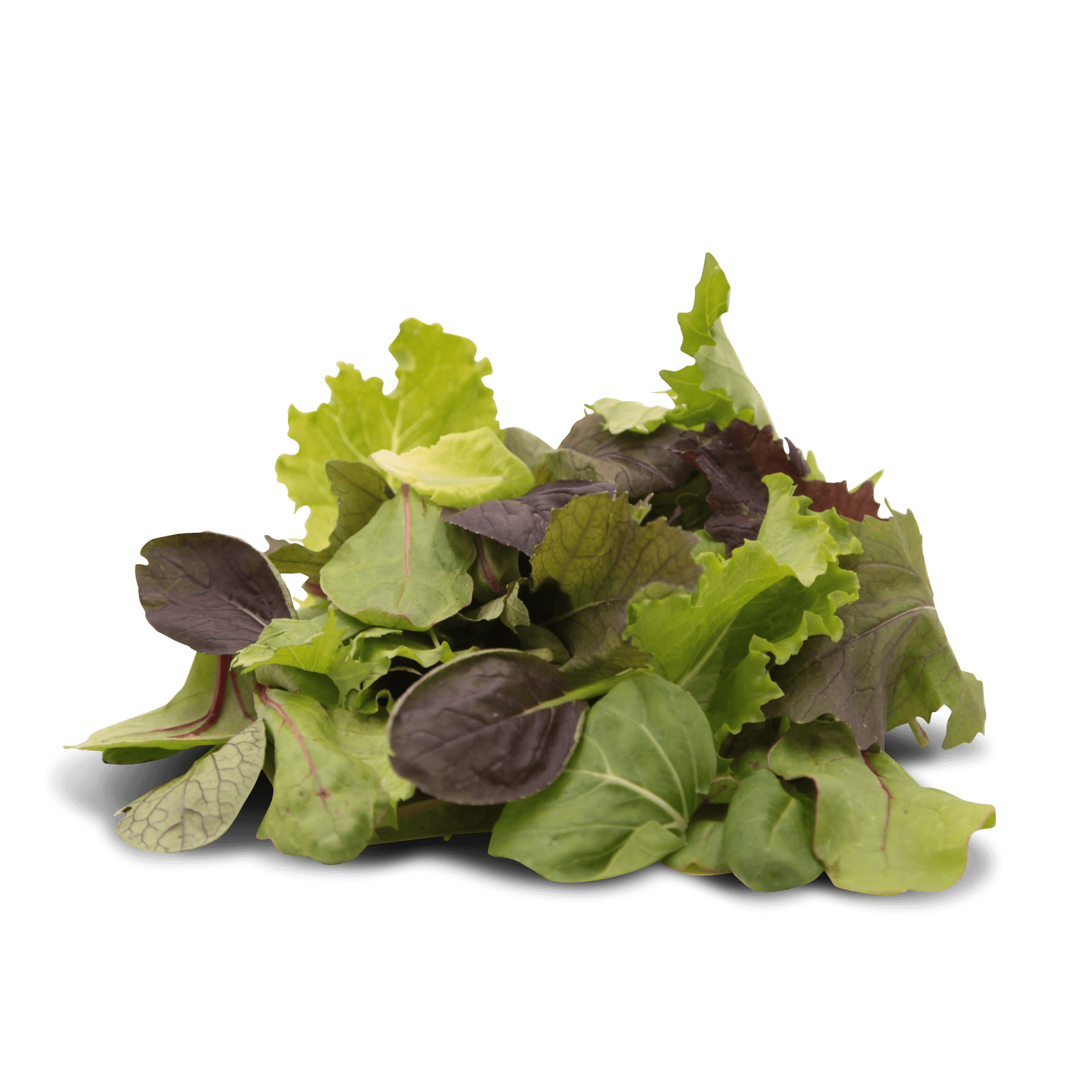 Salatmischung 'Baby Leaf'