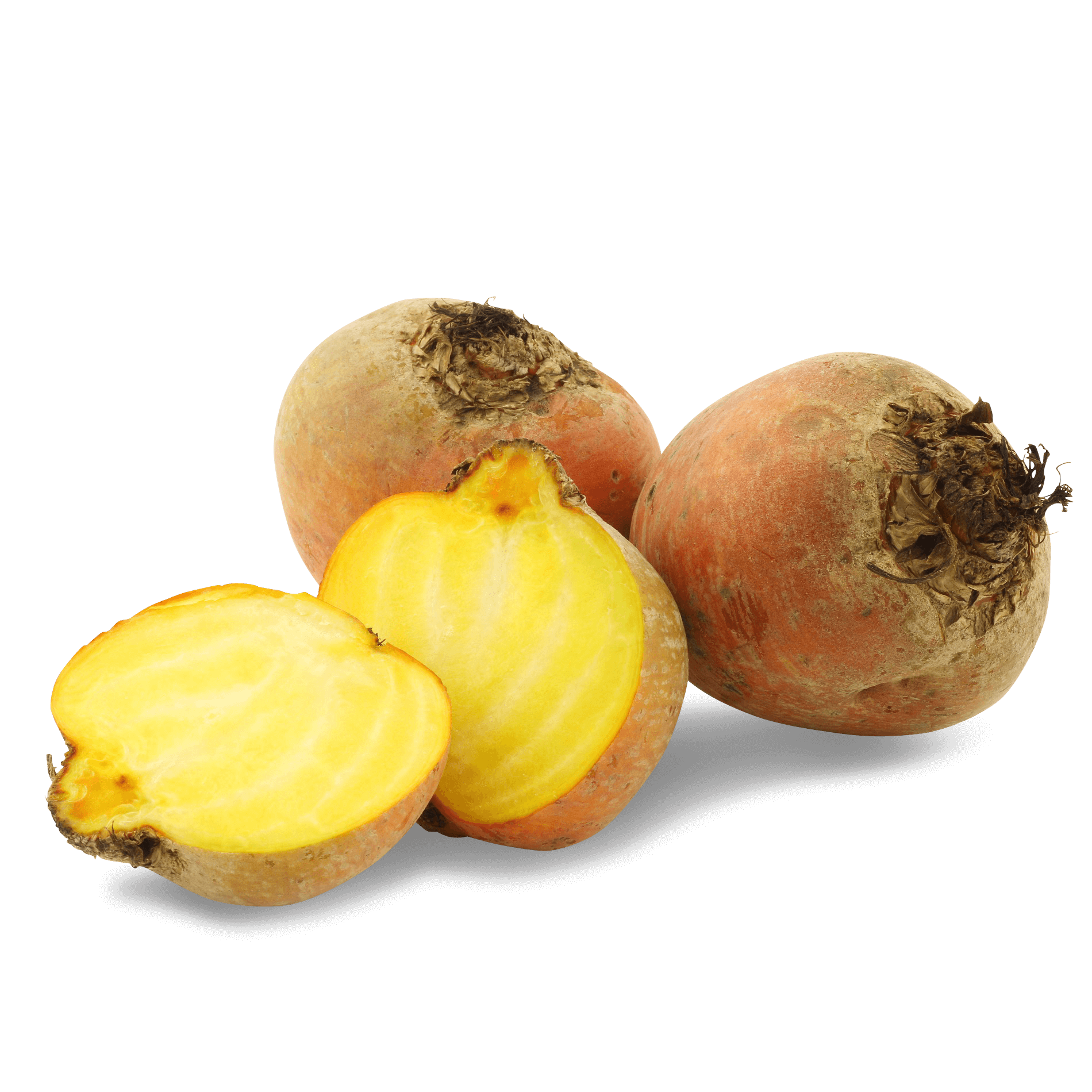 Bete 'gelbfleischig'