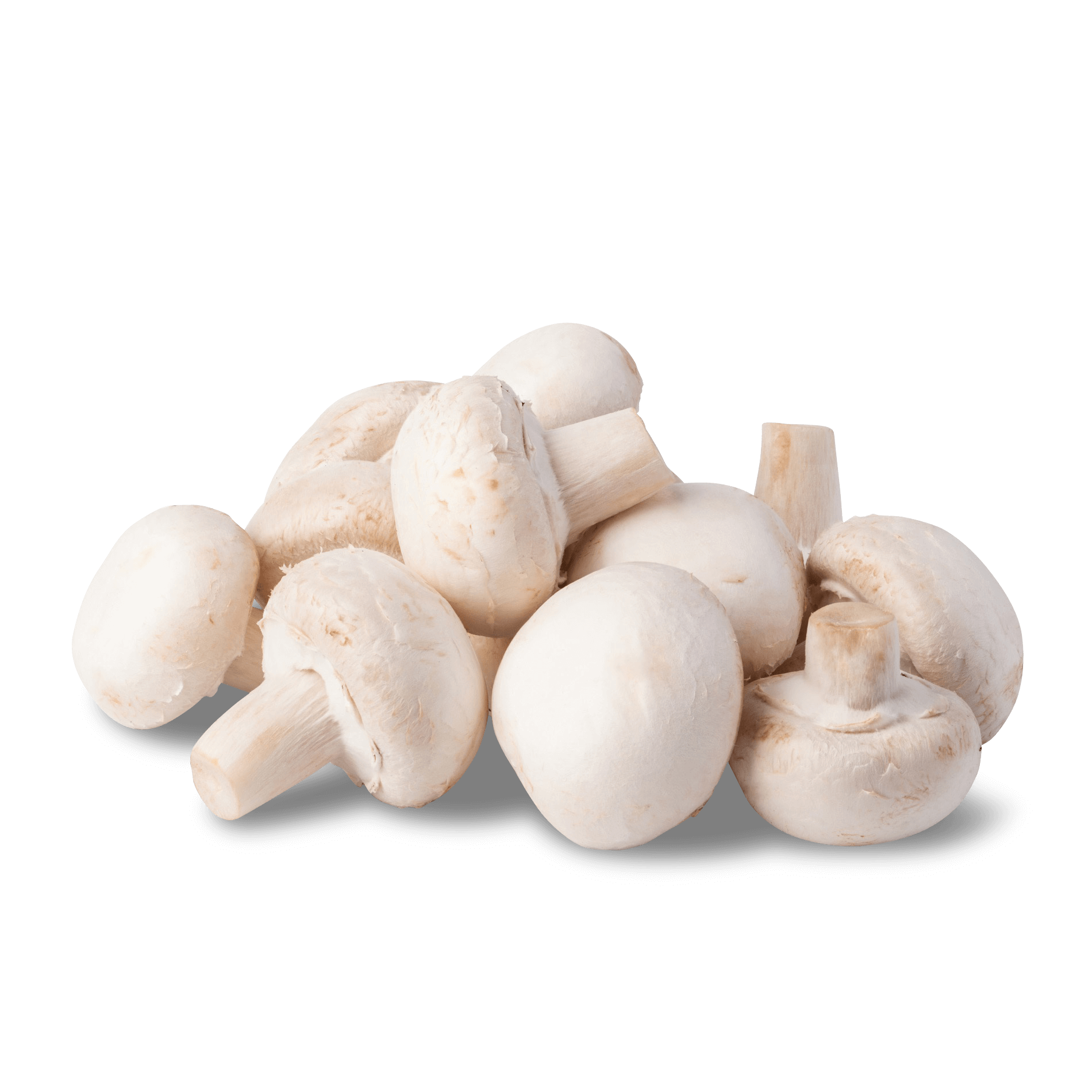 Pilze 'Weiße Champignons'