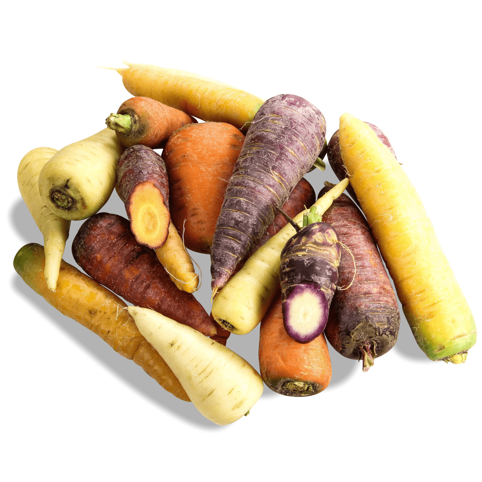 Bunte Karotten 'Gärtnerinnen-Mix'