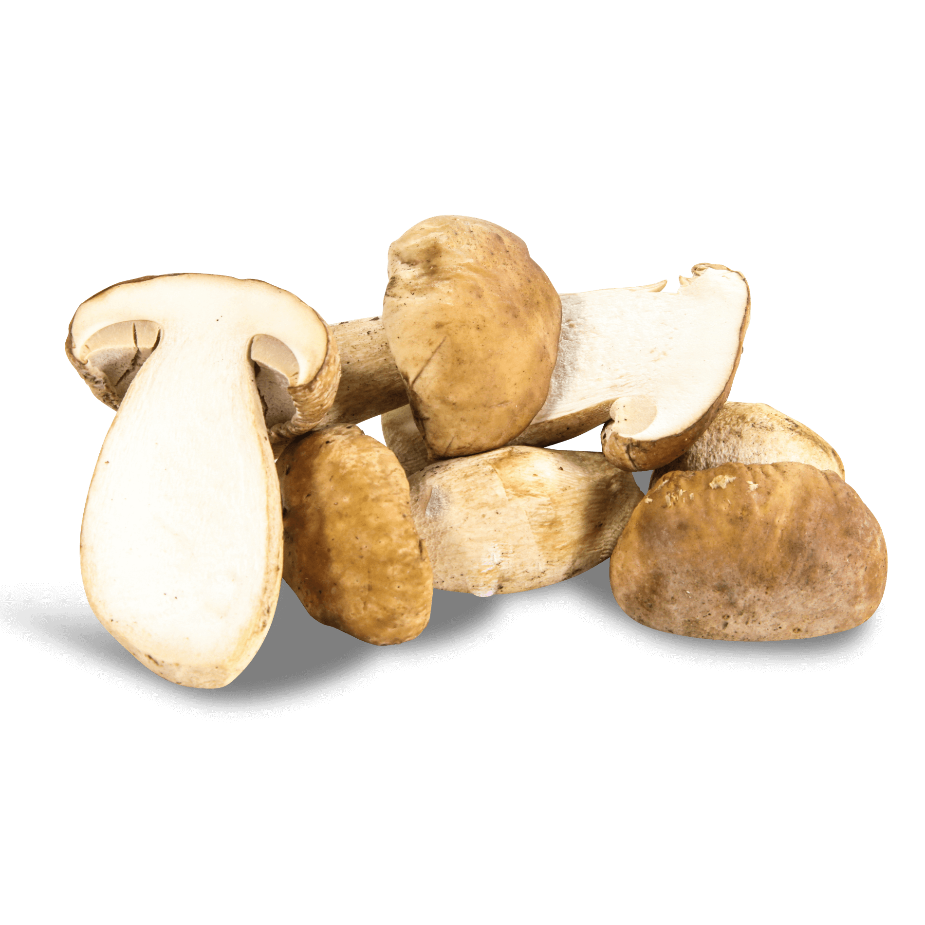 Pilze 'halbierte Steinpilze'