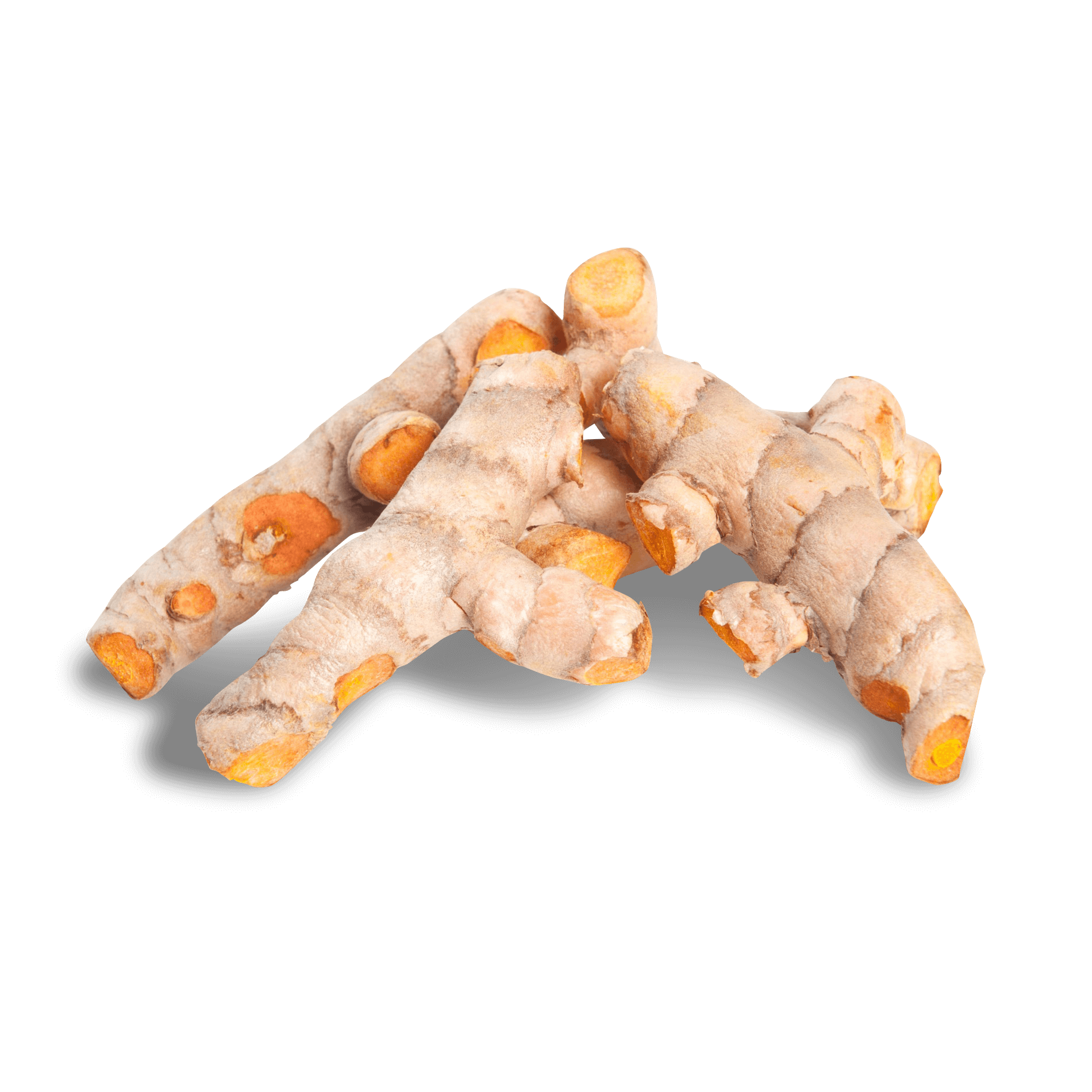 Kurkuma-Wurzeln 'frisch'