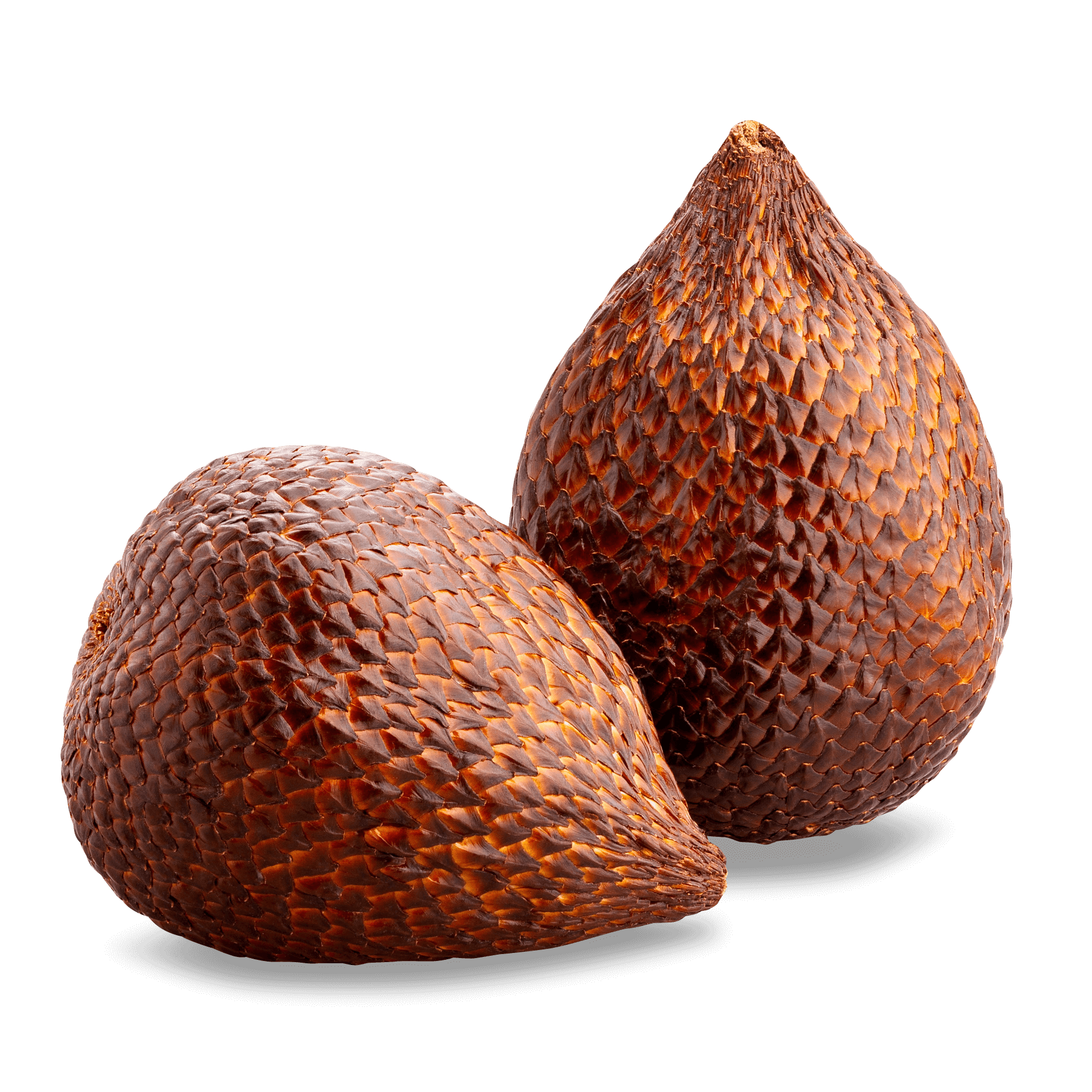 Salak