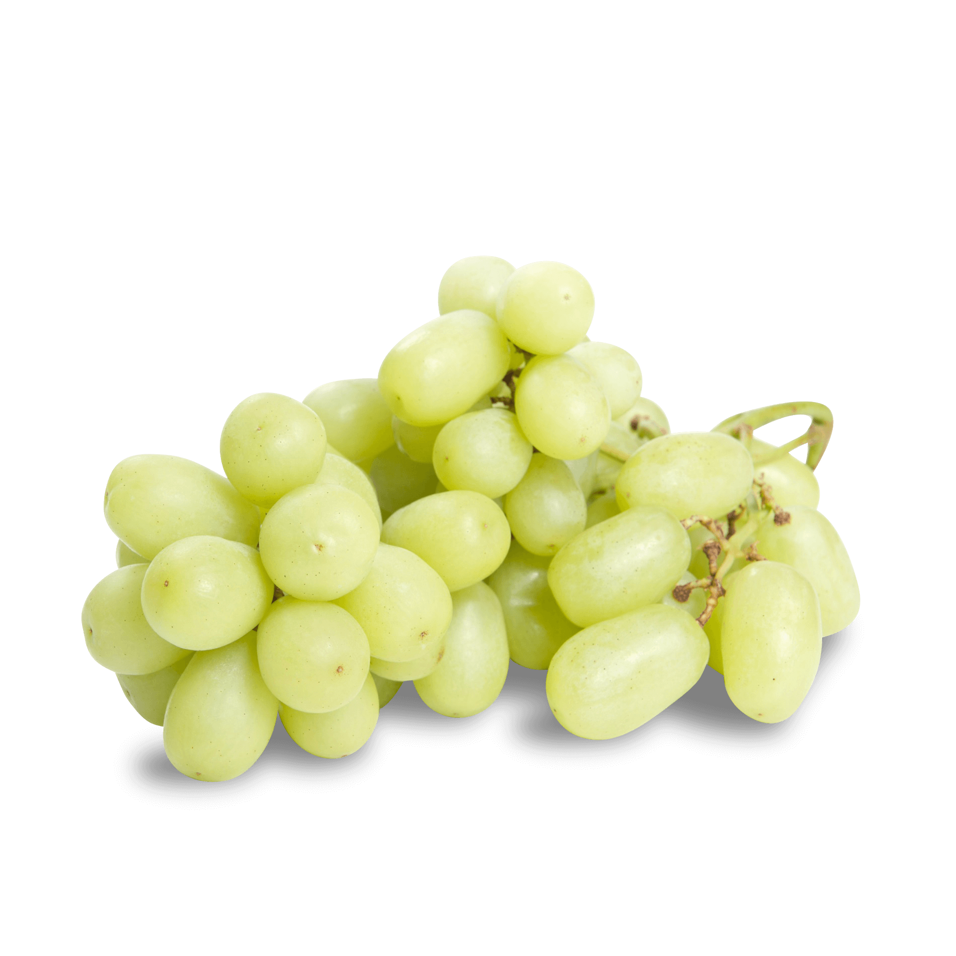 Trauben hell kernlos