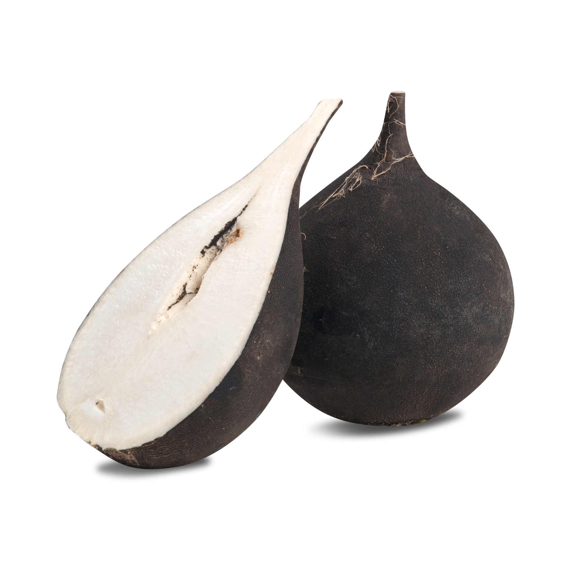 Rettich 'schwarz', rund