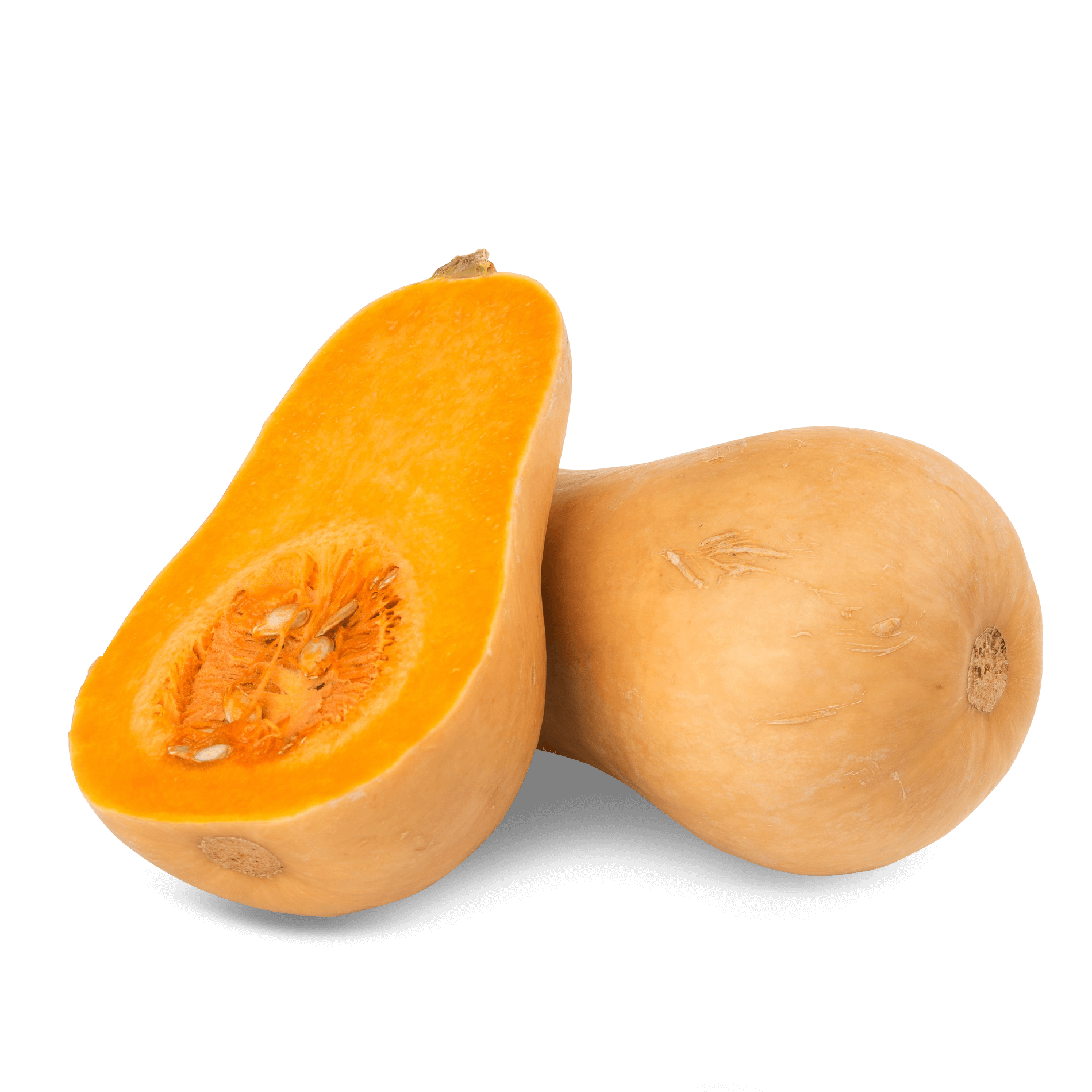 Kürbis 'Butternut'