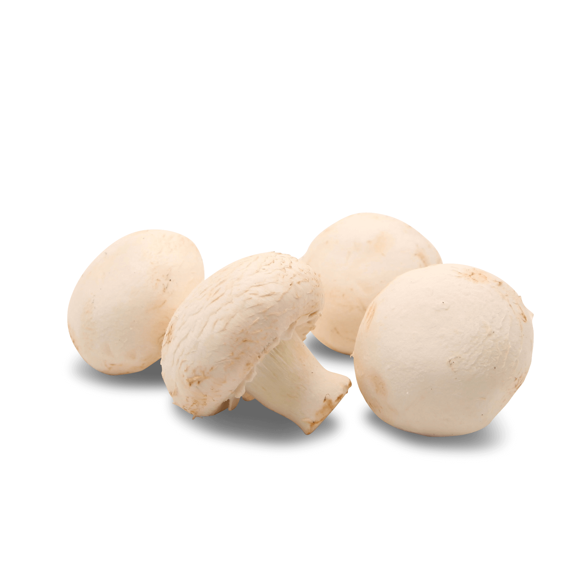 Pilze 'Füll Champignons'