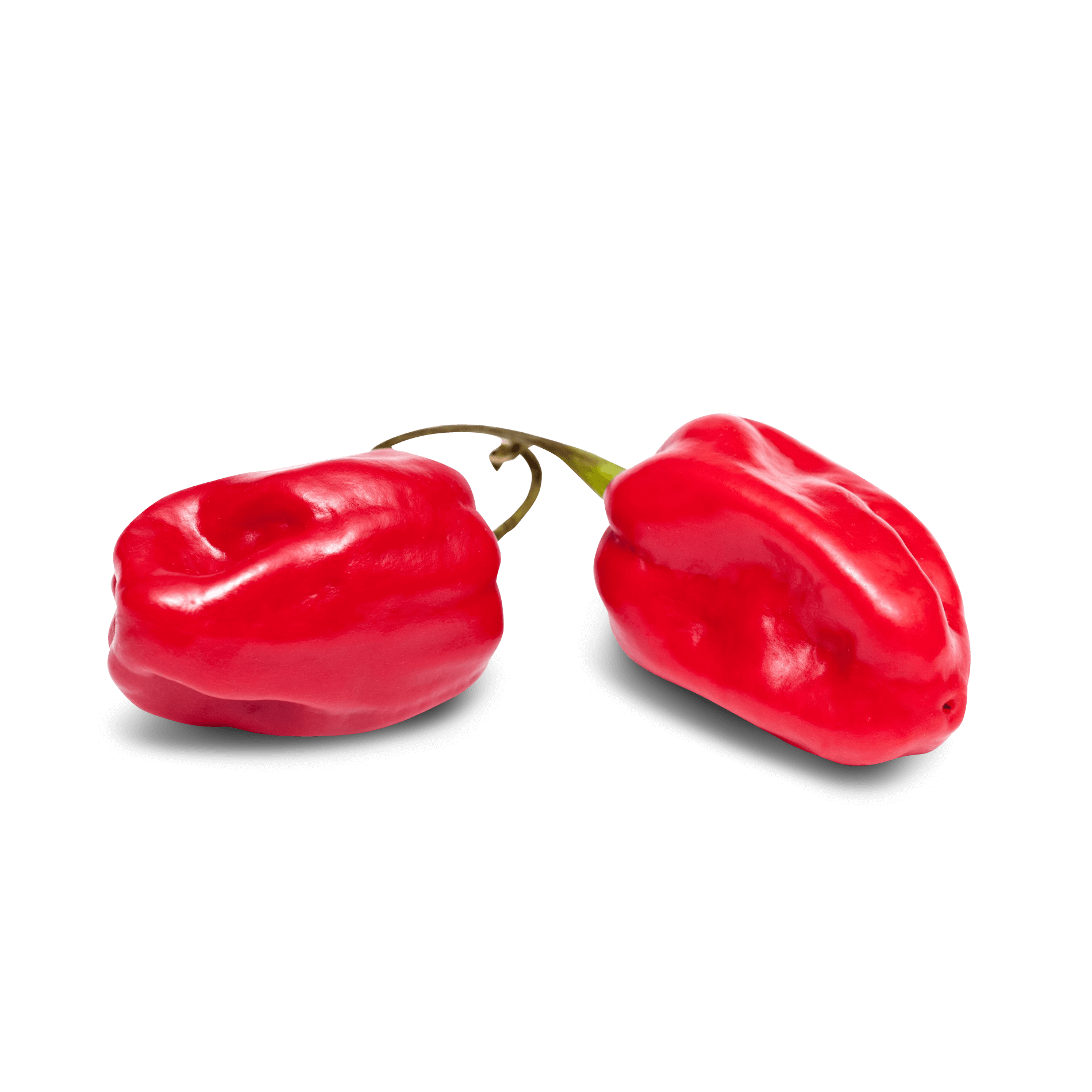 Habaneros