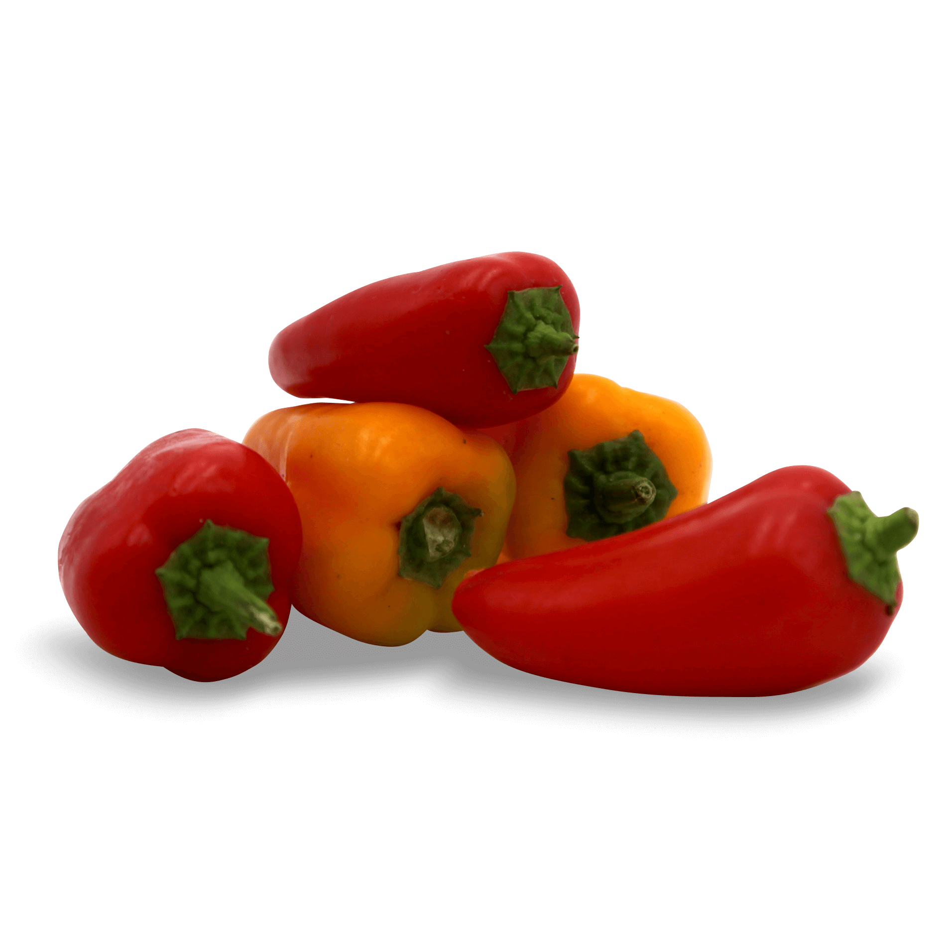 Snack Paprika 'Mini'