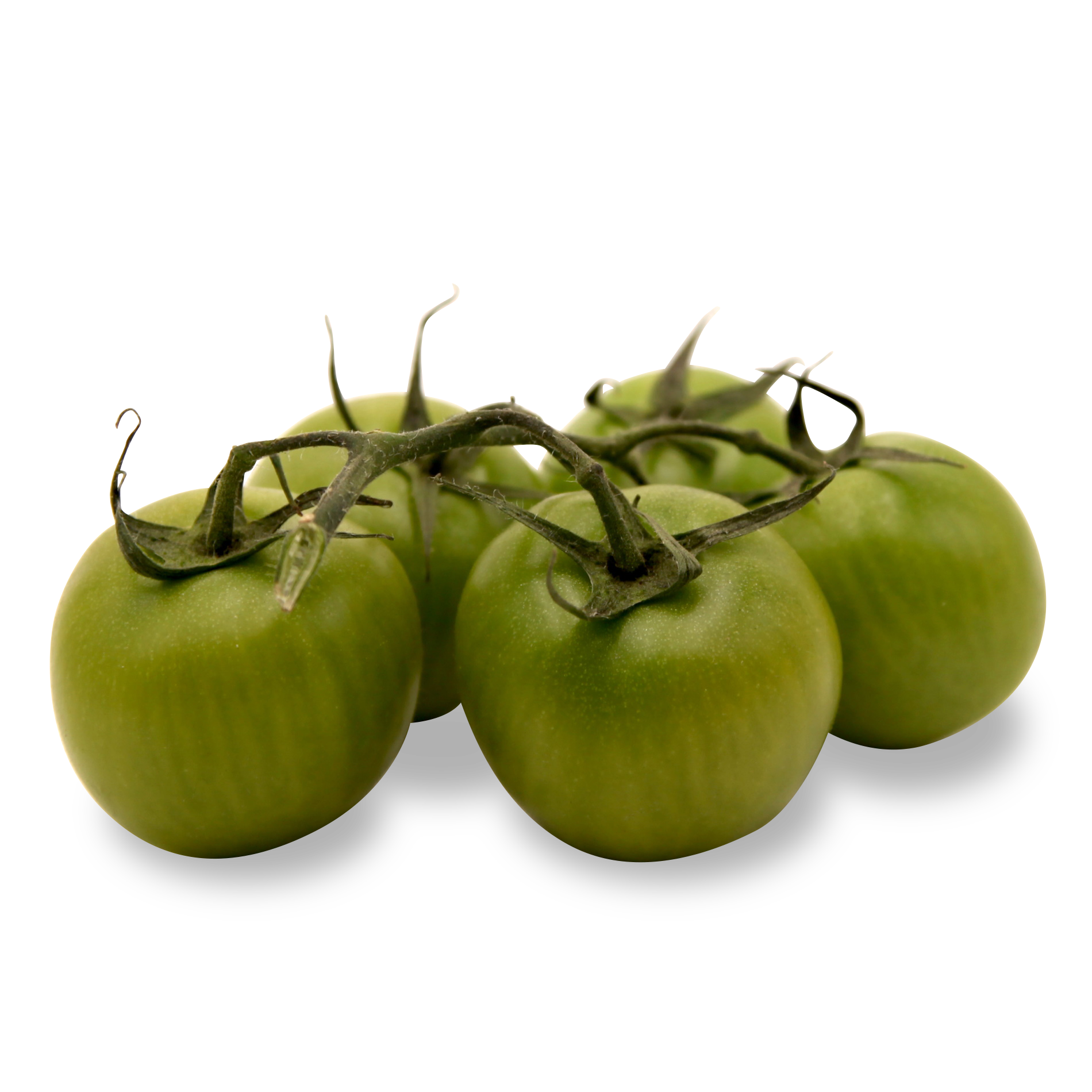 Grüne Tomaten 'am Strauch'